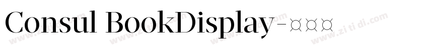 Consul BookDisplay字体转换
